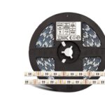 FLEX LED RGB+WW in 1, 300 LED, 5050 SMD, IP20, 24V,